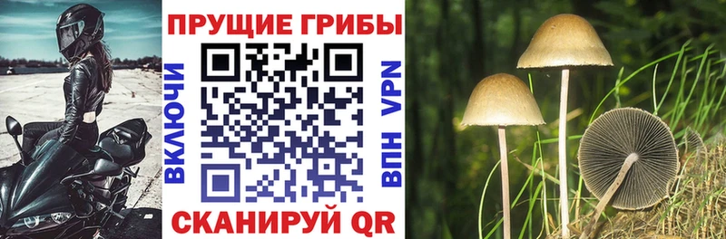 Галлюциногенные грибы ЛСД  MEGA ссылка  Елец 